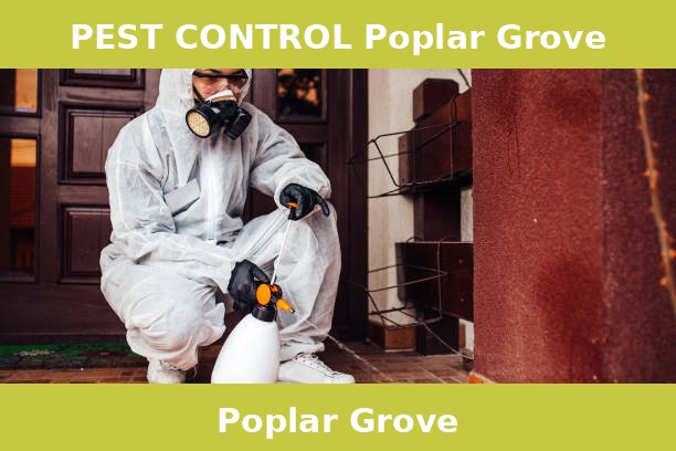 PEST CONTROL Poplar Grove